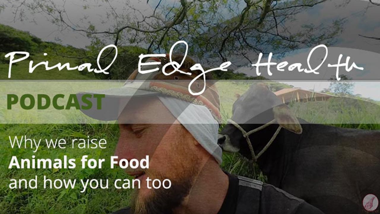 Primal Edge Health podcast. Why we raise animals for food and how you can, too.