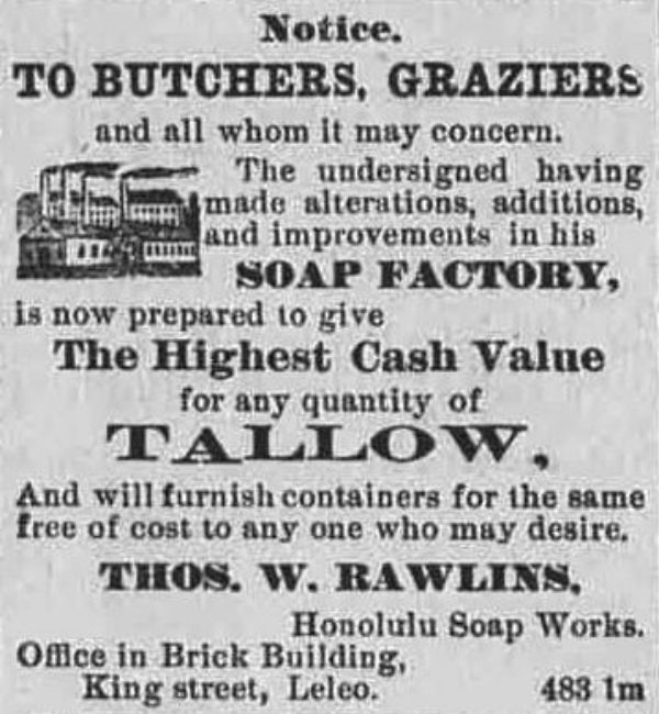 A vintage tallow soap ad.