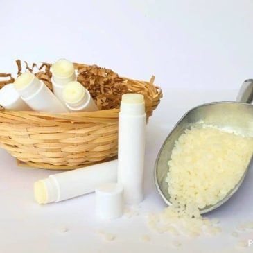 Easy DIY lip balm recipe with beef tallow.