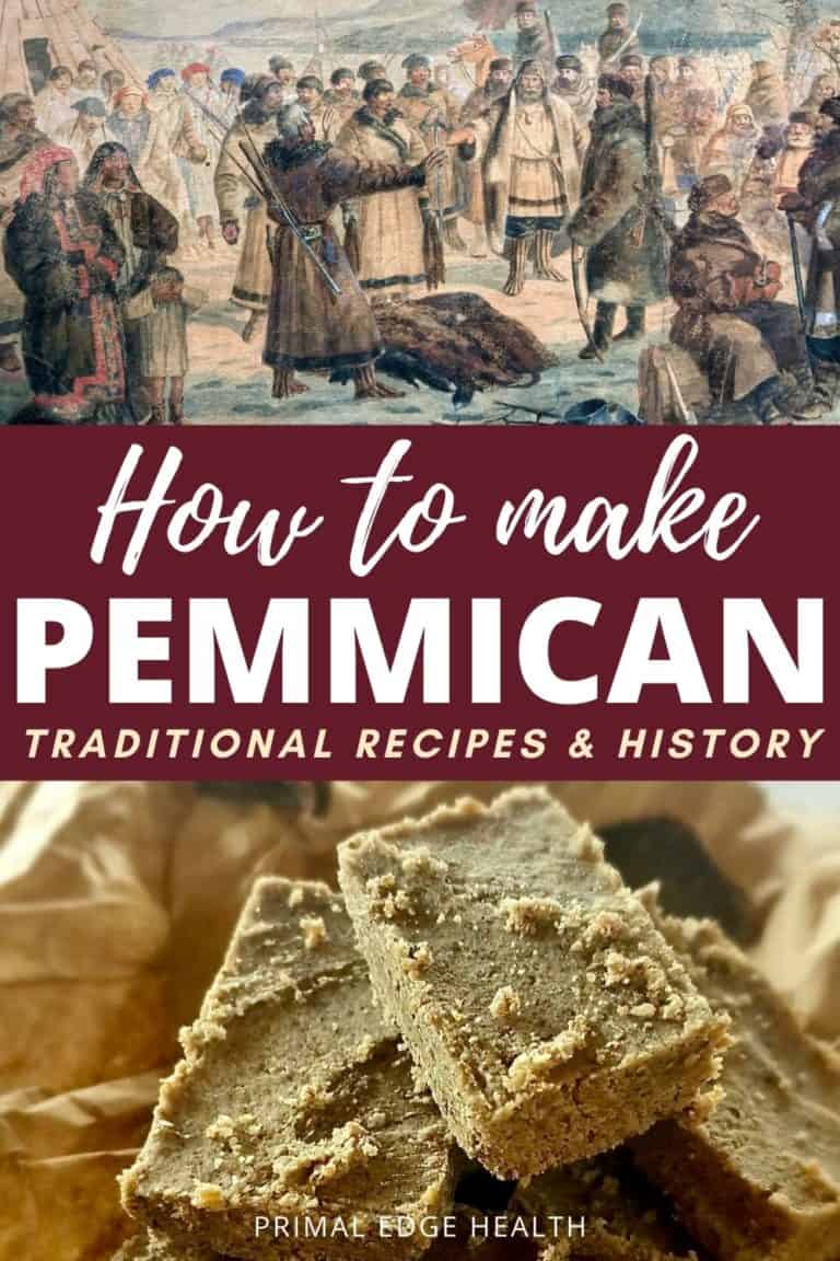 Pemmican Guide on Traditional Recipes & History