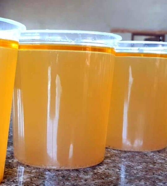 4 containers of bone broth.