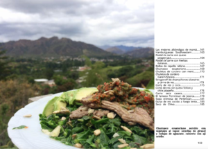 Meat and vegetables on a plate in an outdoor setting.