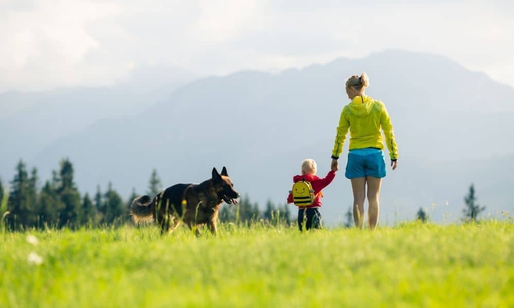A woman holding hands with a child in an open field with a dog in the background.