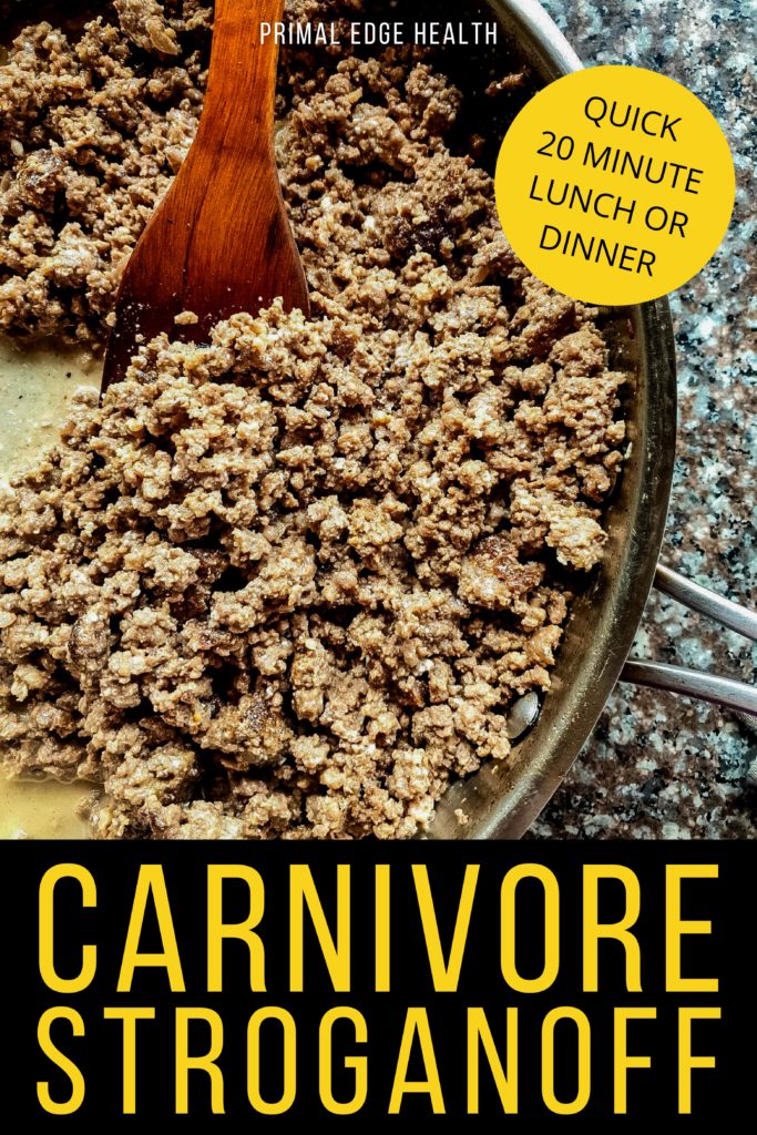 Carnivore Stroganoff Recipe