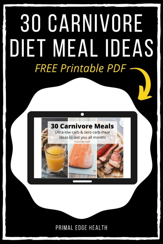 meal plan carnivore diet recipes