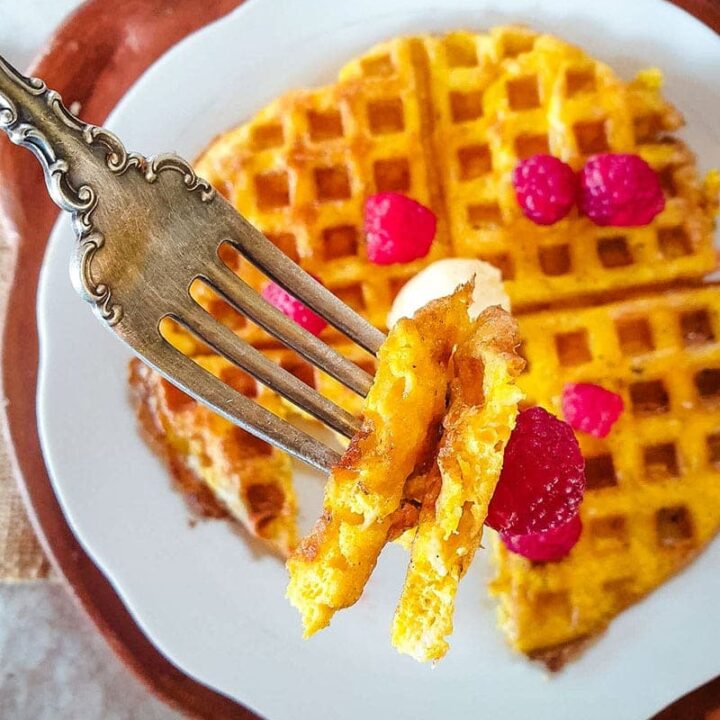 2Ingredient Keto Waffles (Flourless Waffles)