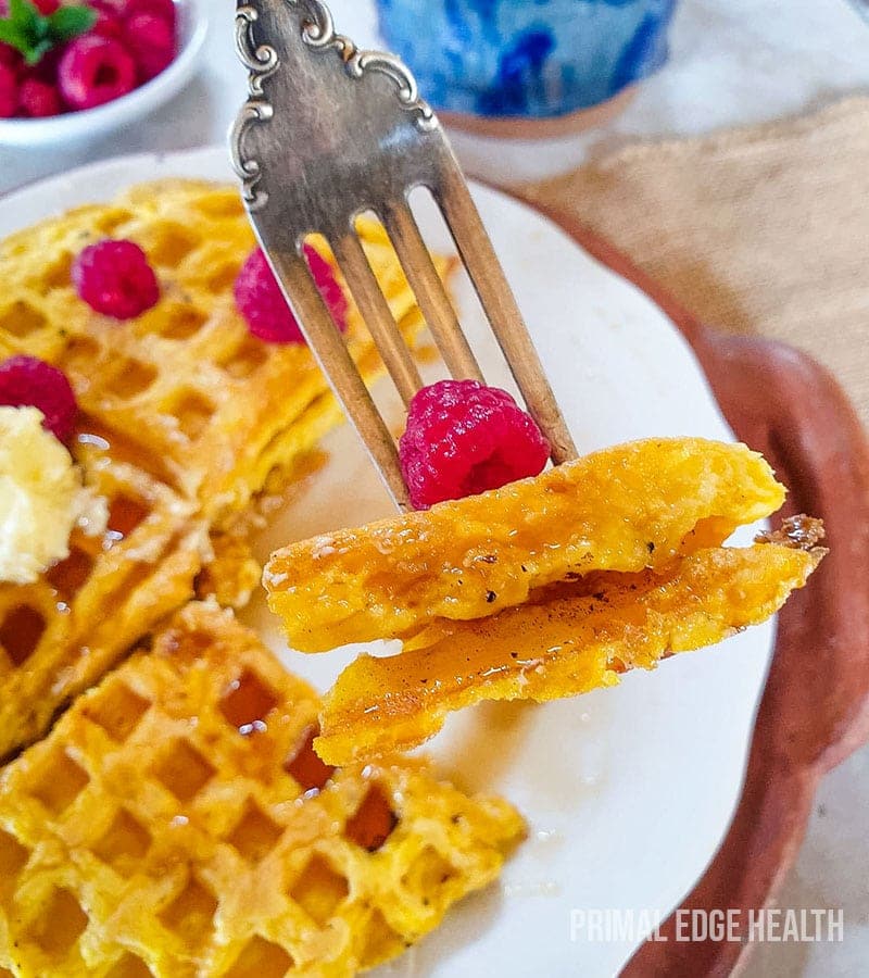 2-Ingredient Keto Waffles (Flourless Waffles)