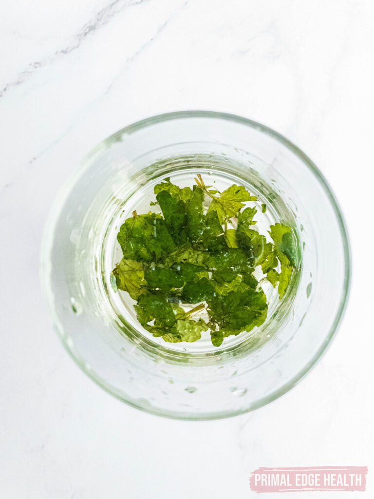 Fresh mint soaking in a glass of water on a marble surface.