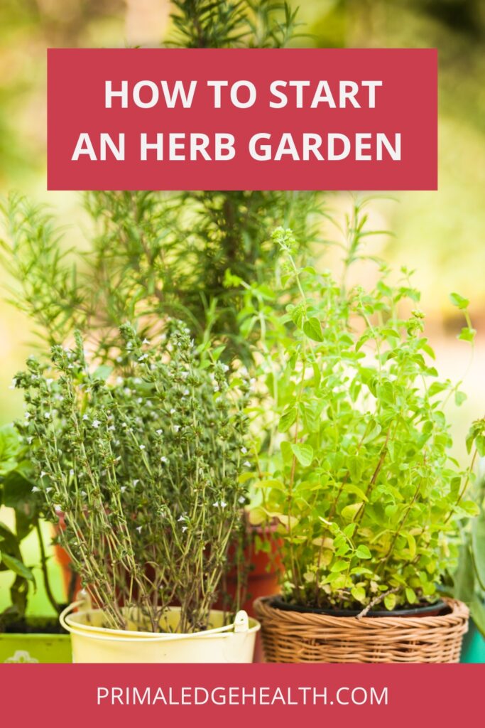 how to start an herb garden