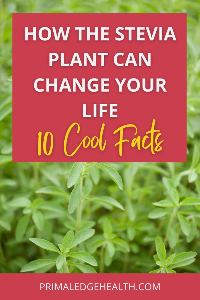 How the Stevia Plant can Change Your Life
