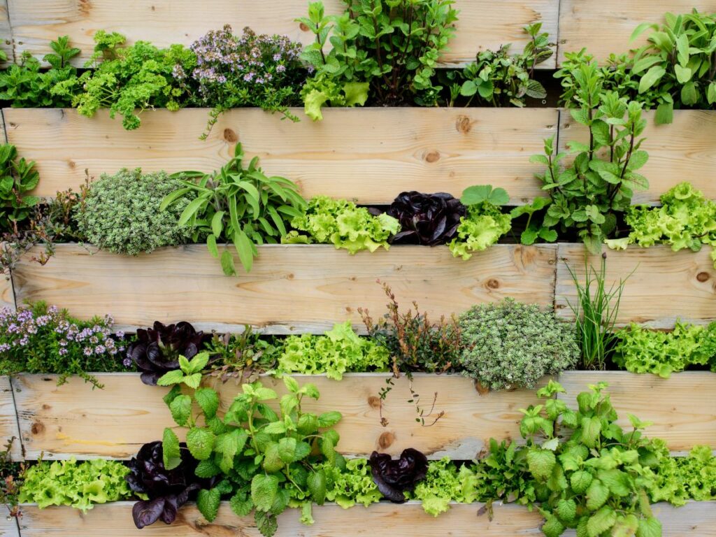 Vertical herb garden with wood panels.