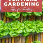 Grow your own vegetables. Vertical Gardening tips for foodies.