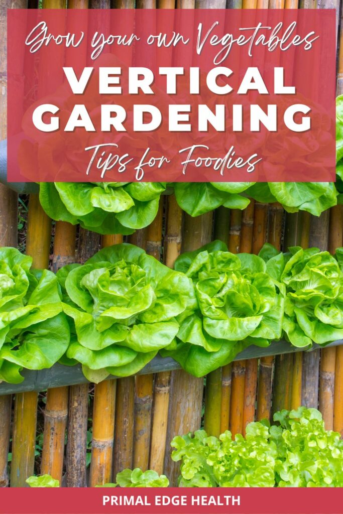 Grow your own vegetables. Vertical Gardening tips for foodies.
