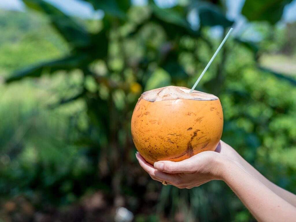 Fresh coconut with straw in a person's hands.
