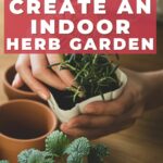 How to Create an Indoor Herb Garden - by Primal Edge Health.