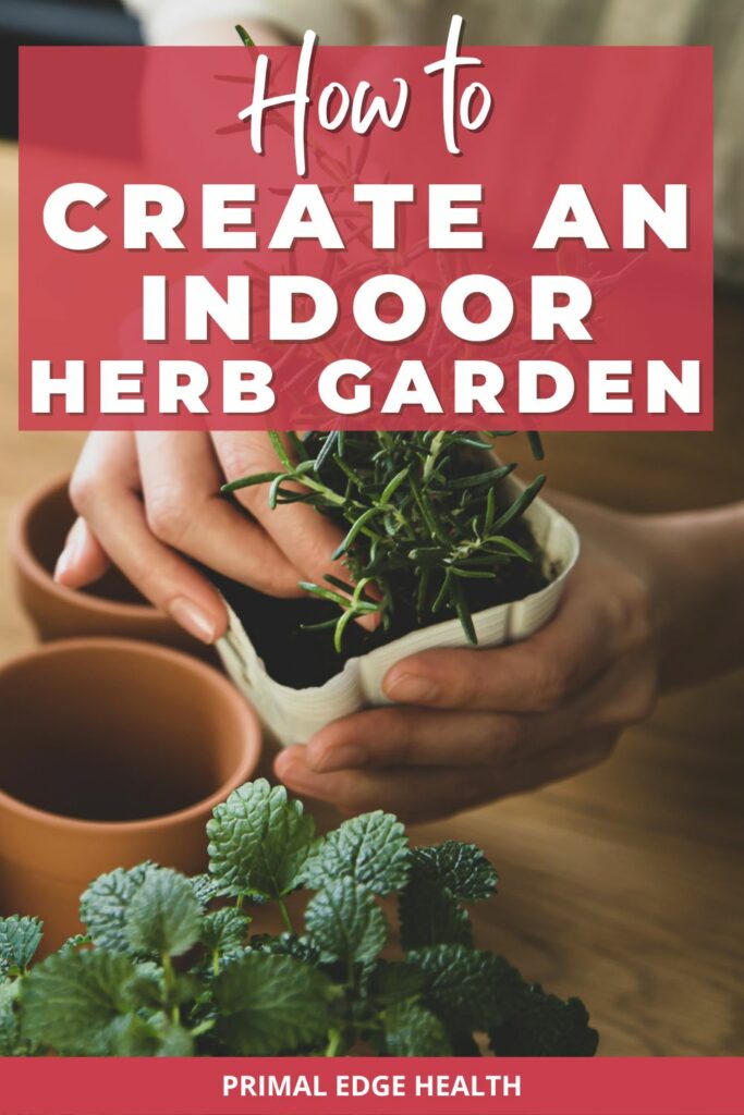 how to create an indoor herb garden