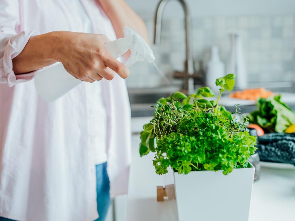 A woman is spraying water on a plant in a pot.