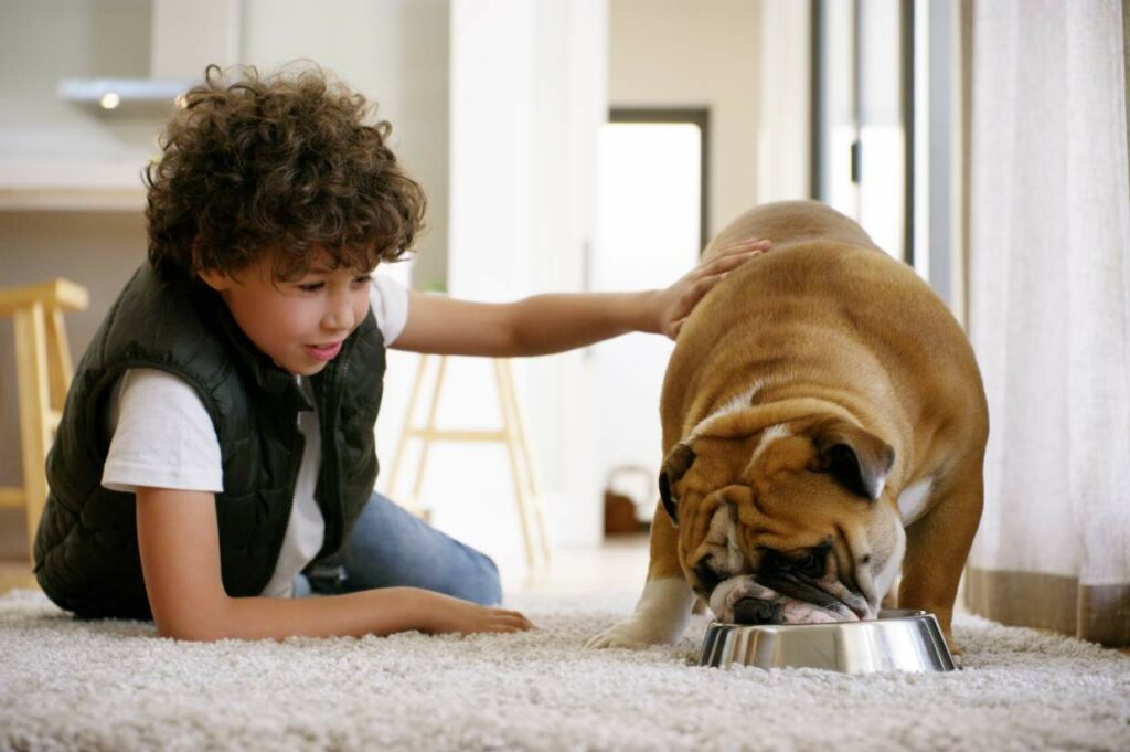 A young boy petting a bulldog on the floor while the dog is drinking.