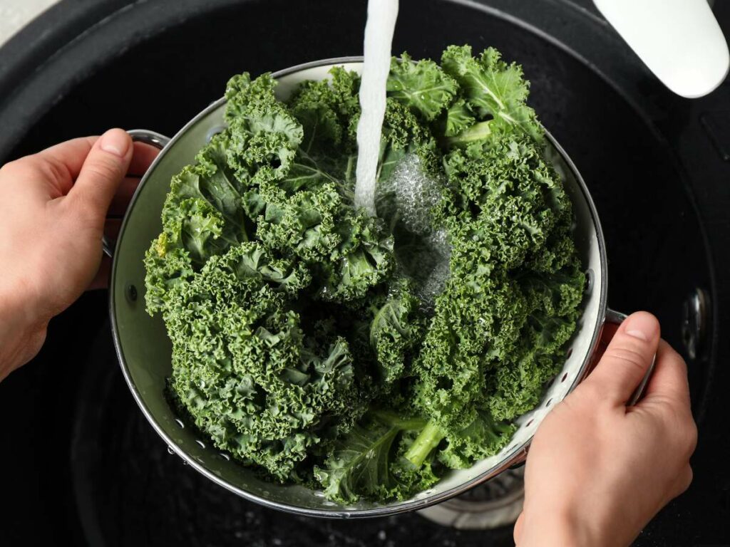 A person washing a bowl of kale.