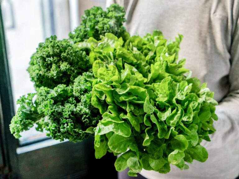 LowOxalateFriendly Veggies Is Kale High in Oxalate?