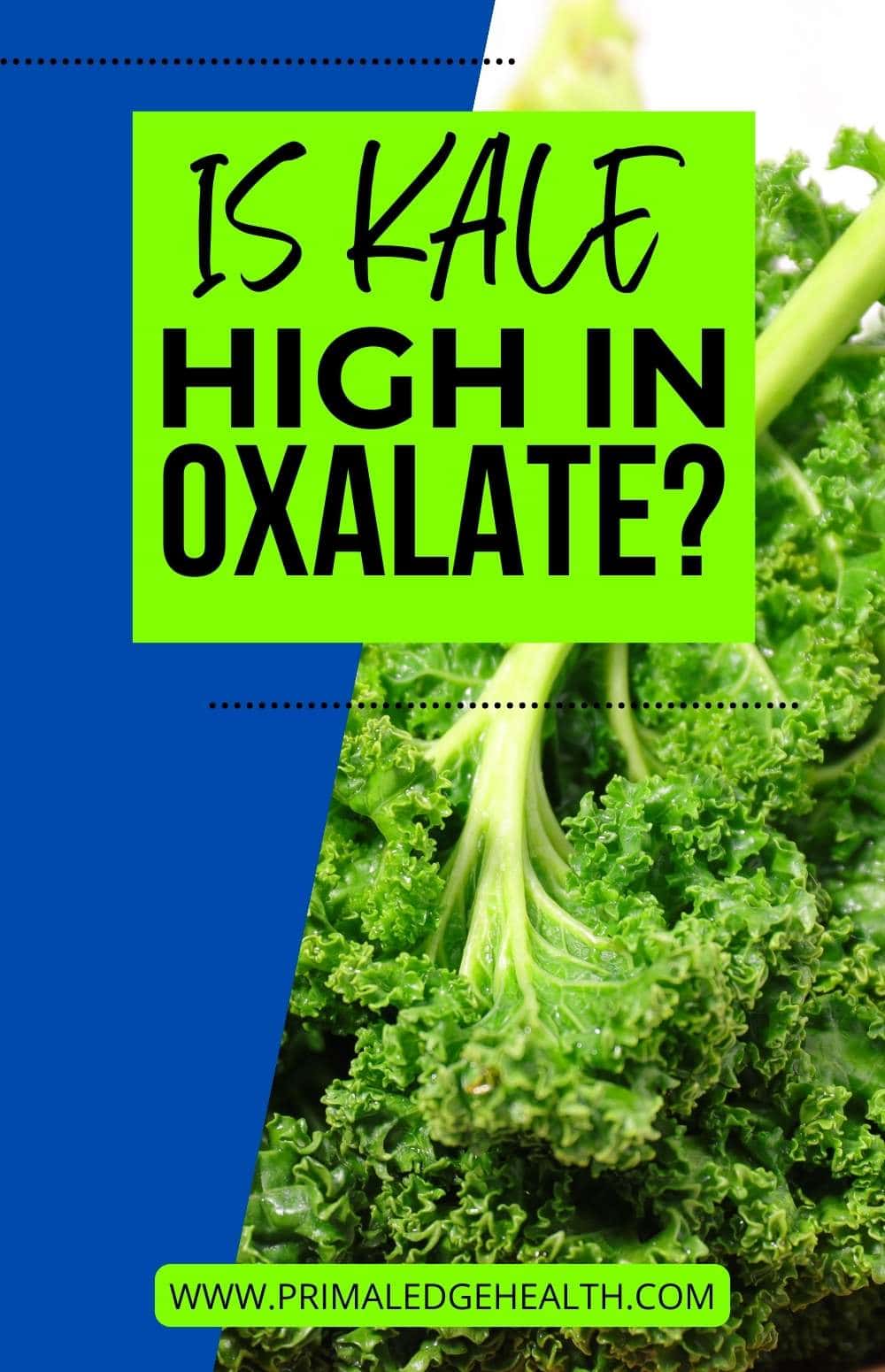 LowOxalateFriendly Veggies Is Kale High in Oxalate?