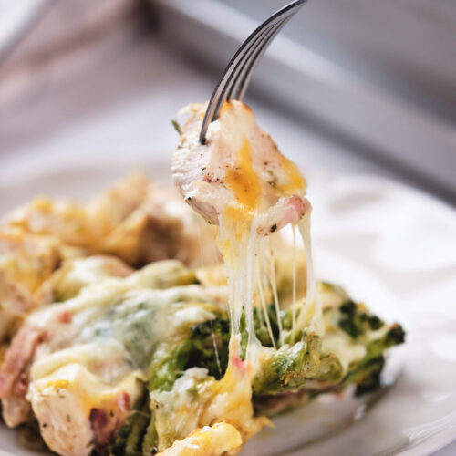 A fork lifting a cheesy bite of broccoli and chicken casserole from a plate.