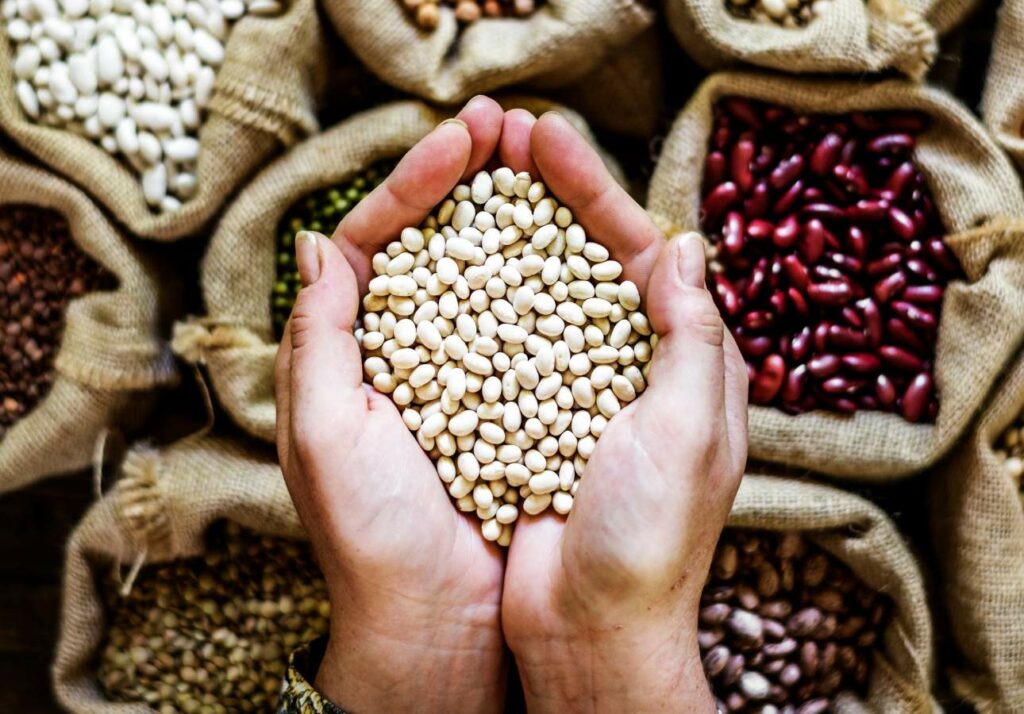 Two hands cupping dry white beans, surrounded by various legumes in burlap sacks.