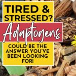 A variety of dried herbs and roots displayed with overlay text promoting adaptogens for stress relief.